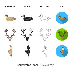  a duck, a deer horn, a compass with a lid.Hunting set collection icons in cartoon,black,outline,flat style vector symbol stock illustration web.