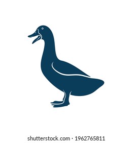 Duck design vector illustration, Creative Duck logo design concept template, symbols icons