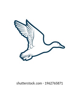 Duck design vector illustration, Creative Duck logo design concept template, symbols icons