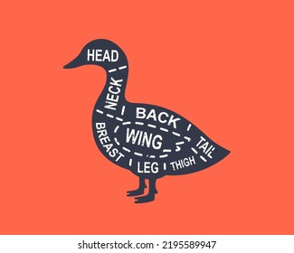 Duck diagram cuts. Butcher scheme poster. Cuts of duck meat. Meat diagram scheme illustration. Farm animal silhouette.