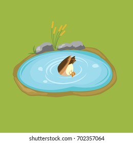 Duck Dives Into The Pond Colorful Minimalistic Isometric Style Vector Illustration