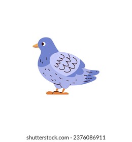 Duck domestic bird character, flat vector illustration isolated on white background. Duck bird as symbol of poultry and domestic fowl for food packs and prints.