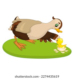 Duck and duckling cartoon isolated on white background