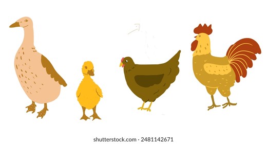 Duck, duckling, hen and rooster. Cute poultry farm characters, cartoon chick with baby duck isolated. 