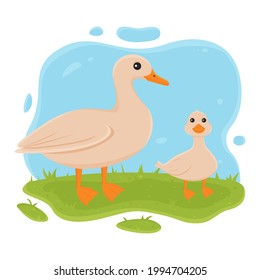 Pato y patito en el pasto. Ilustración vectorial del ave de granja doméstica en dibujos animados de estilo sencillo y plano.
