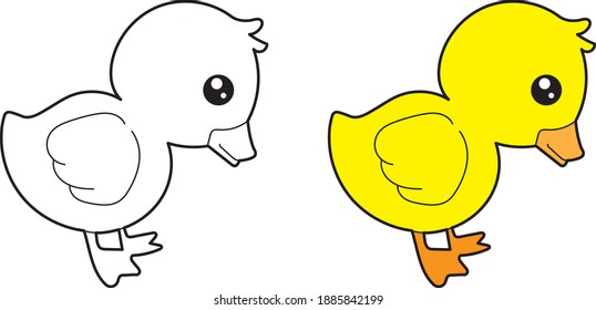 Duck Duckling vector drawing animal vector drawing, cartoon vector, line art and color