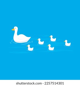  Duck and ducklings cute baby ducks swimming vector image.
