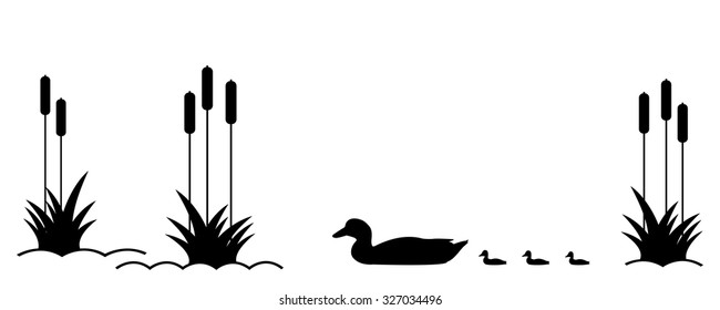 .Duck with ducklings on the lake among the reeds.
