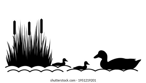 Duck with ducklings on the lake. Vector illustration.