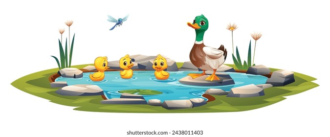 Duck and ducklings swimming in the pond. Vector cartoon illustration