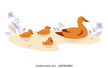 Duck with ducklings in the water. Vector illustration in flat cartoon style.