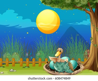 Duck egg hatchling in nature