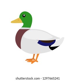 Duck Emoji Vector Stock Vector (Royalty Free) 1297665241 | Shutterstock