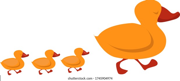 Duck family , illustration, vector on white background