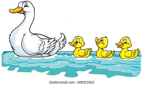 Duck Family Swimming