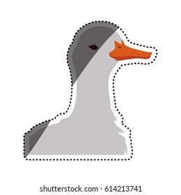 Duck farm animal