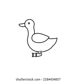 Duck farm animal linear icon