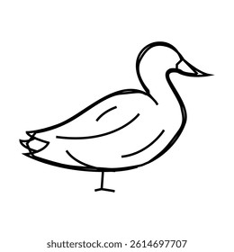 duck farm bird line icon vector. duck farm bird sign. isolated contour symbol black illustration