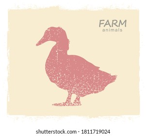 Duck farm bird silhouette. Vector vintage label of duck on old paper background