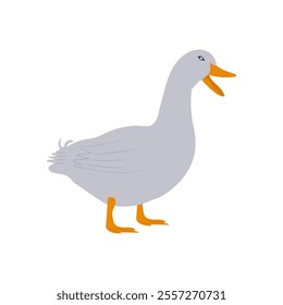 Duck, Farming Flat Vector Illustration