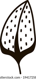 Duck feather, illustration, vector on a white background