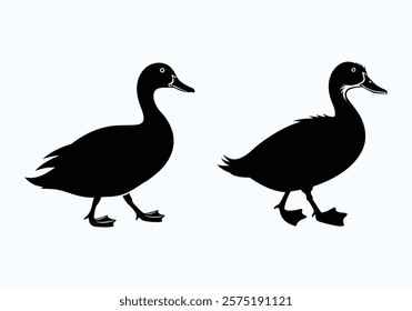 Duck Flat icon Set, Simple black silhouettes on a plain white background.