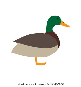 duck flat icon. You can be used duck icon for several purposes like: websites, UI, UX, print templates, promotional materials, info-graphics, web and mobile phone apps.