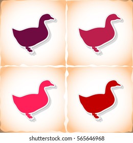 Duck. Flat sticker with shadow on old paper. Vector illustration