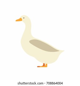 Duck in flat style on white background