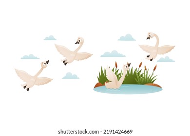 Duck Floating in Pond with Reeds and Flying South Up in the Sky Vector Set