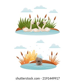 Duck Floating in Pond with Reeds and Grey Ugly Duckling from Fairytale Vector Set