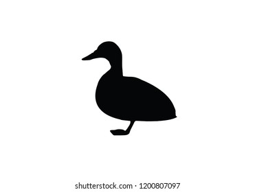 Duck flying animal symbol icon silhouette