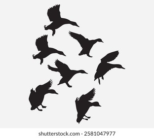 duck flying in group silhouette. free vector illustration