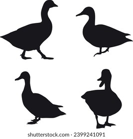 Duck and Flying Duck silhouette set vector illustrations download