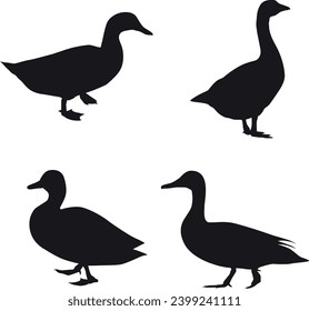 Duck and Flying Duck silhouette set vector illustrations download