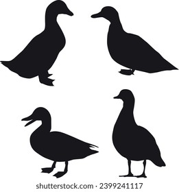 Duck and Flying Duck silhouette set vector illustrations download