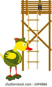 Duck Forester