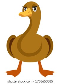 Duck front view. Farm animal in cartoon style.