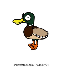 Duck. Funny picture bird farm. 