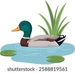 The duck glides smoothly across the tranquil water surface.