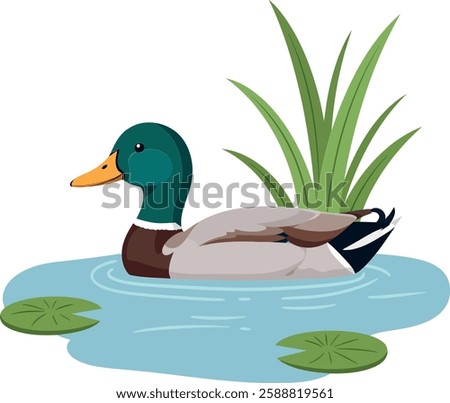 The duck glides smoothly across the tranquil water surface.
