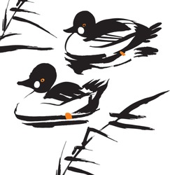 Duck Golden Eye, Chinese Painting Style Graphics, Vector