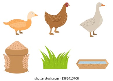 Duck, goose, chicken icons in flat style, food for poultry vector illustration