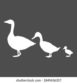 Pato, ganso y pato. Conjunto vectorial de Ilustración de silueta blanca.