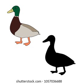 duck, goose, silhouette