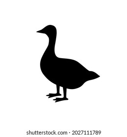 Duck goose silhouette vector png.