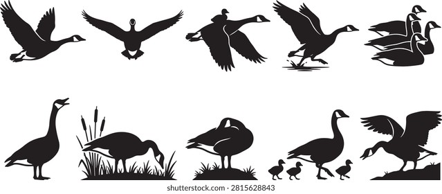 Duck and goose silhouettes vector collection wild waterfowl flying swimming bird shapes set nature wildlife graphic elements layout on white background, duck, goose, bird, silhouette, waterfowl, wildlife, nature, fly