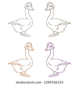 Ilustración del vector de pato o ganso
