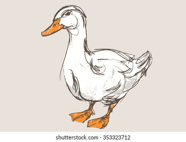 duck hand draw sketch, vector 