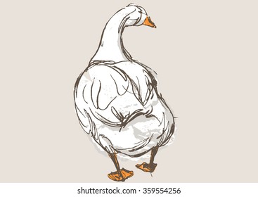 duck hand draw sketch, vector 